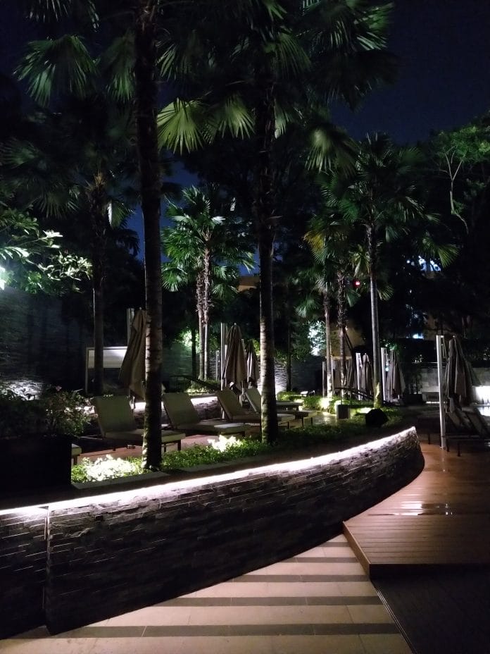 ritz carlton singapore Palm trees and deck chairs