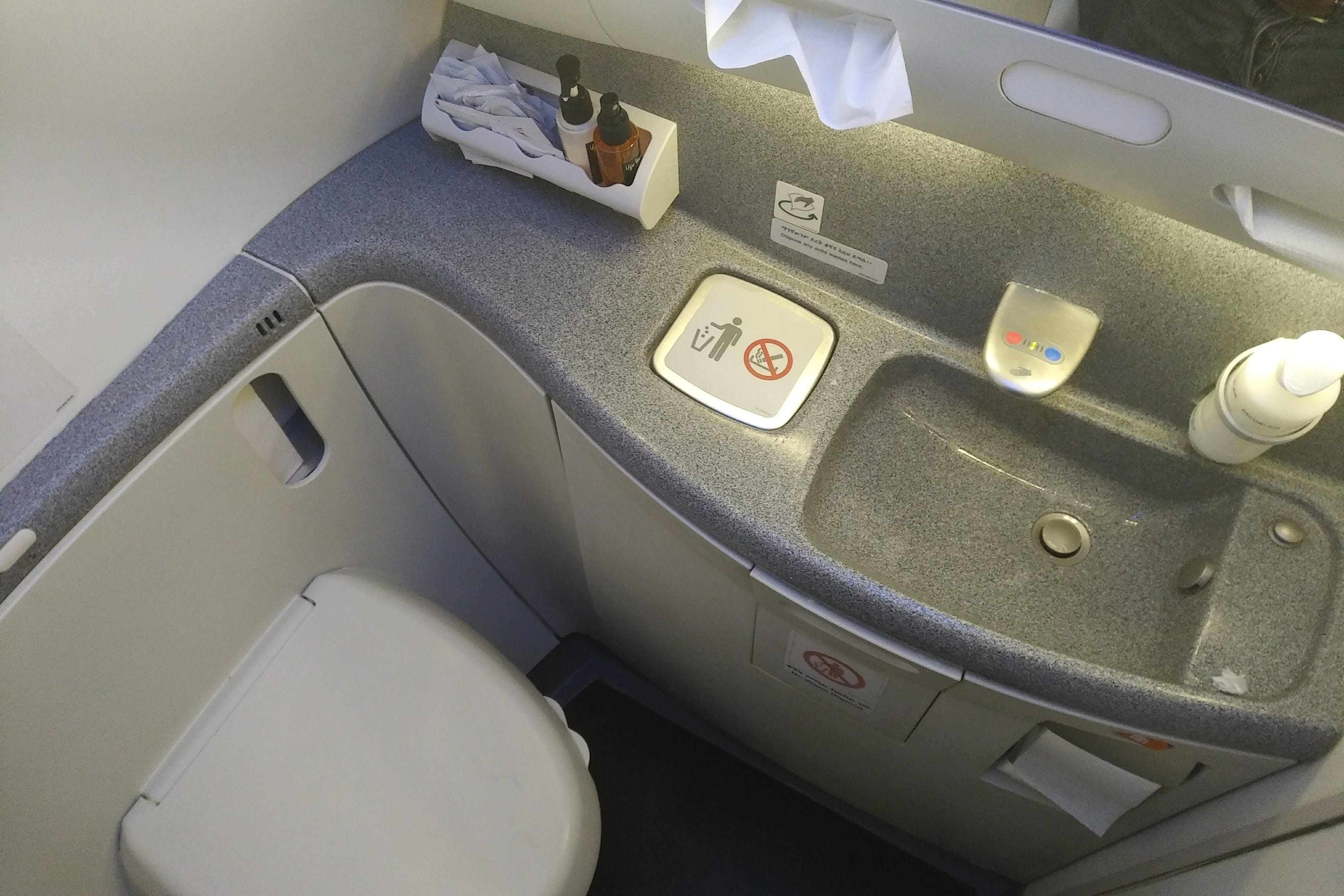 Review: Ethiopian Airlines B787 Business Class Addis Ababa To Sao Paulo ...