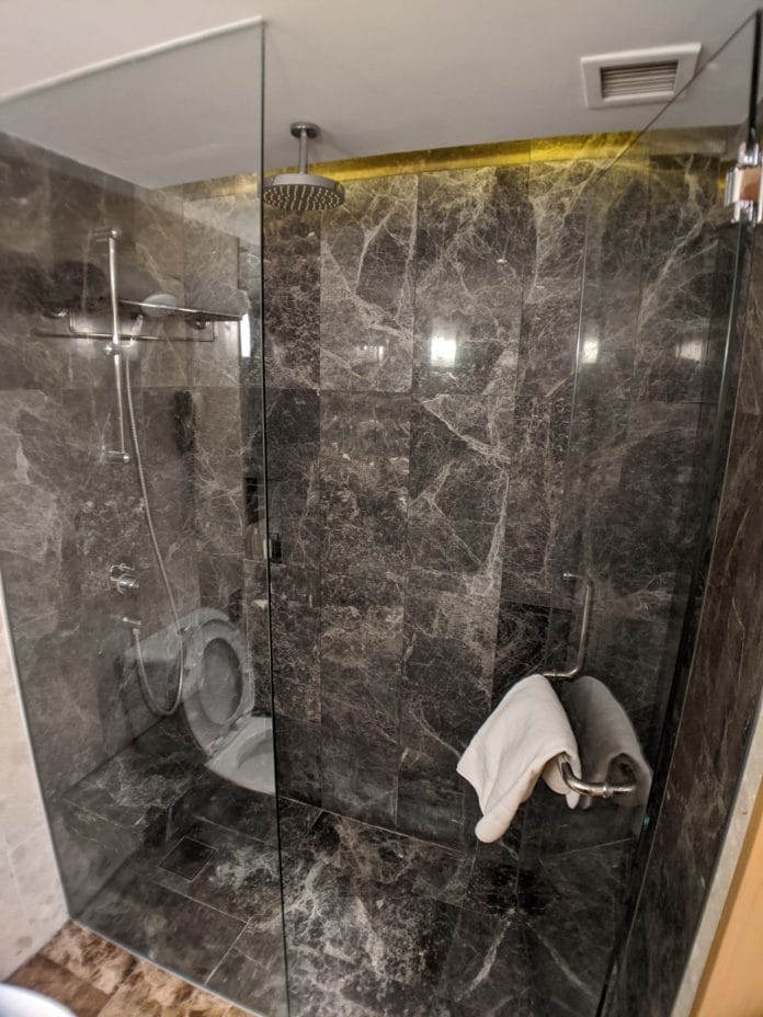Hilton Singapore Premium Room shower
