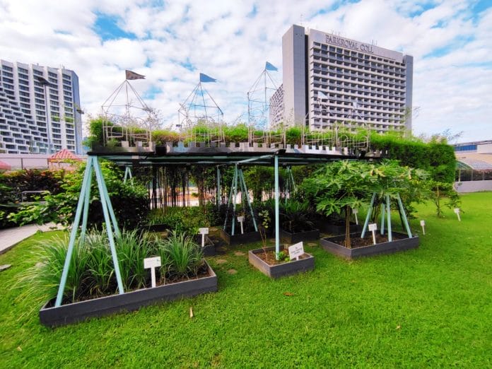 Pan Pacific Singapore herb garden