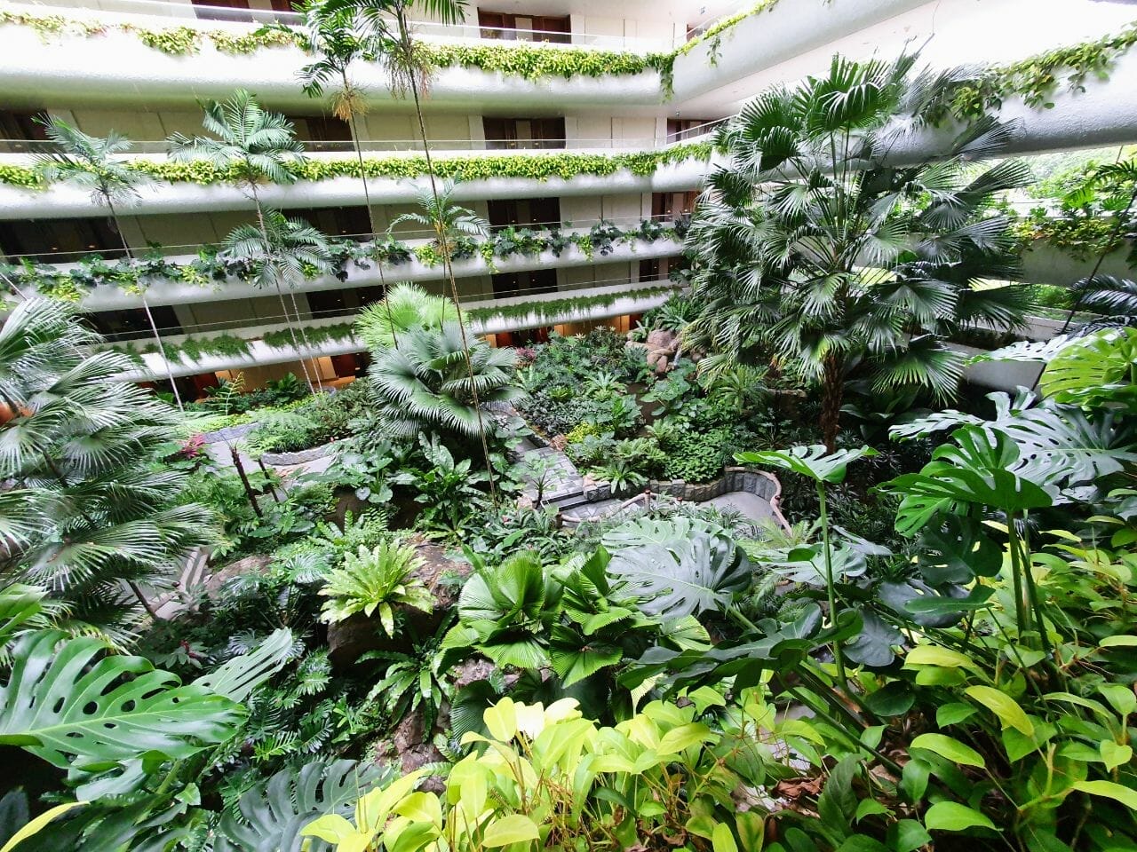 Garden Wing atrium