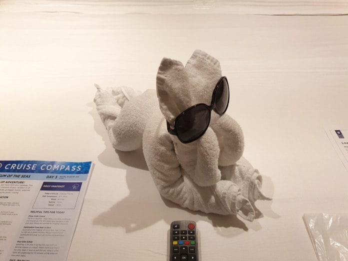 Towel bunny is cooler than you