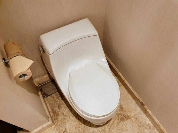 Executive Room toilet