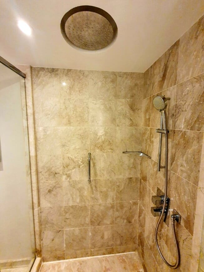 Executive Room shower