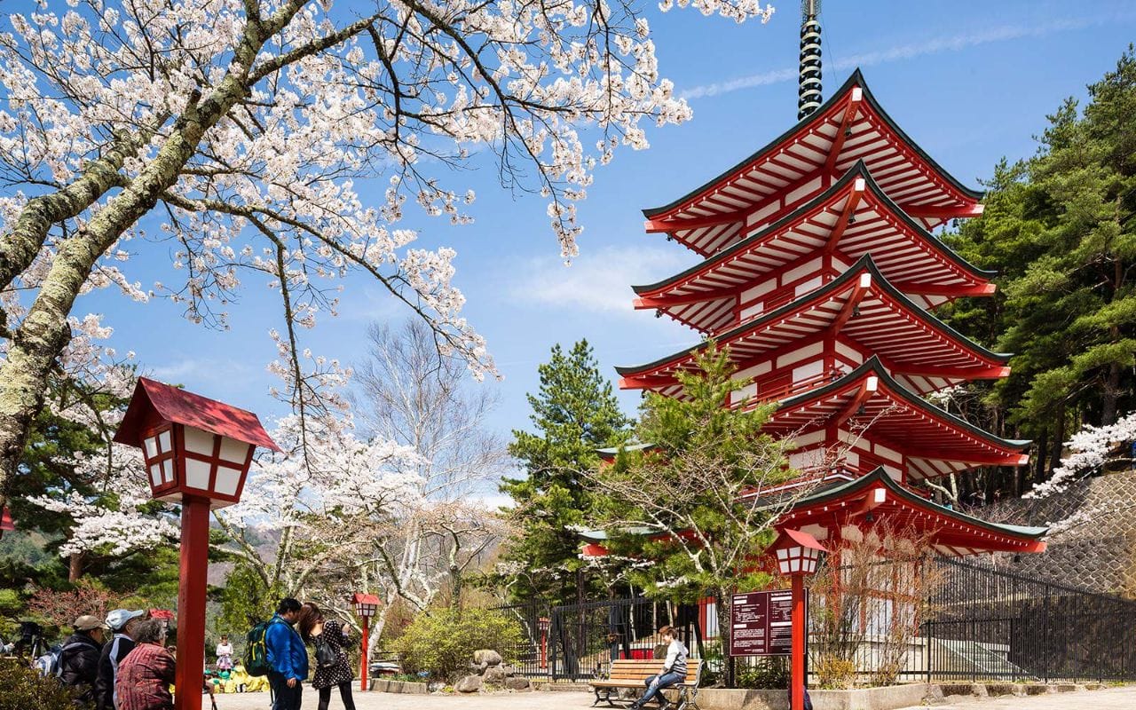 japan allow non guided tours