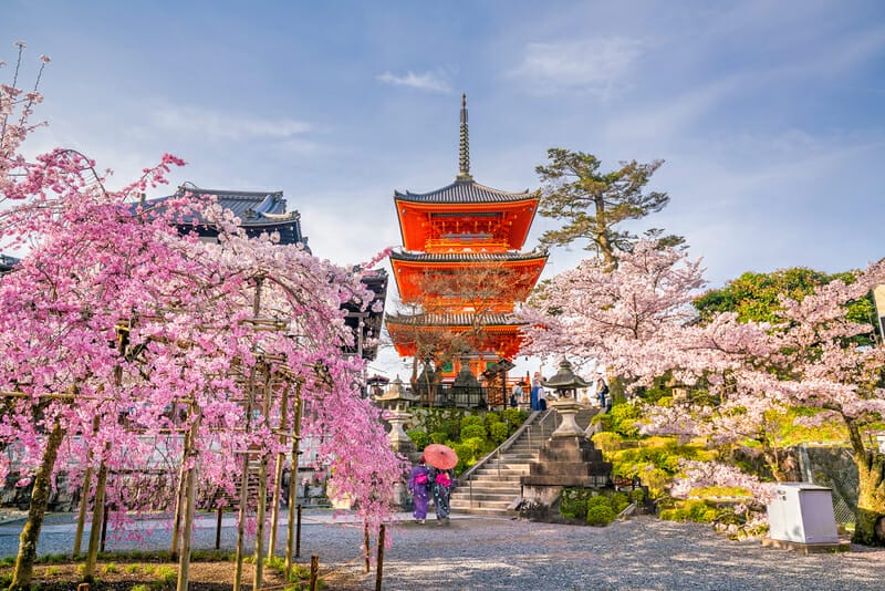 japan tourism restrictions