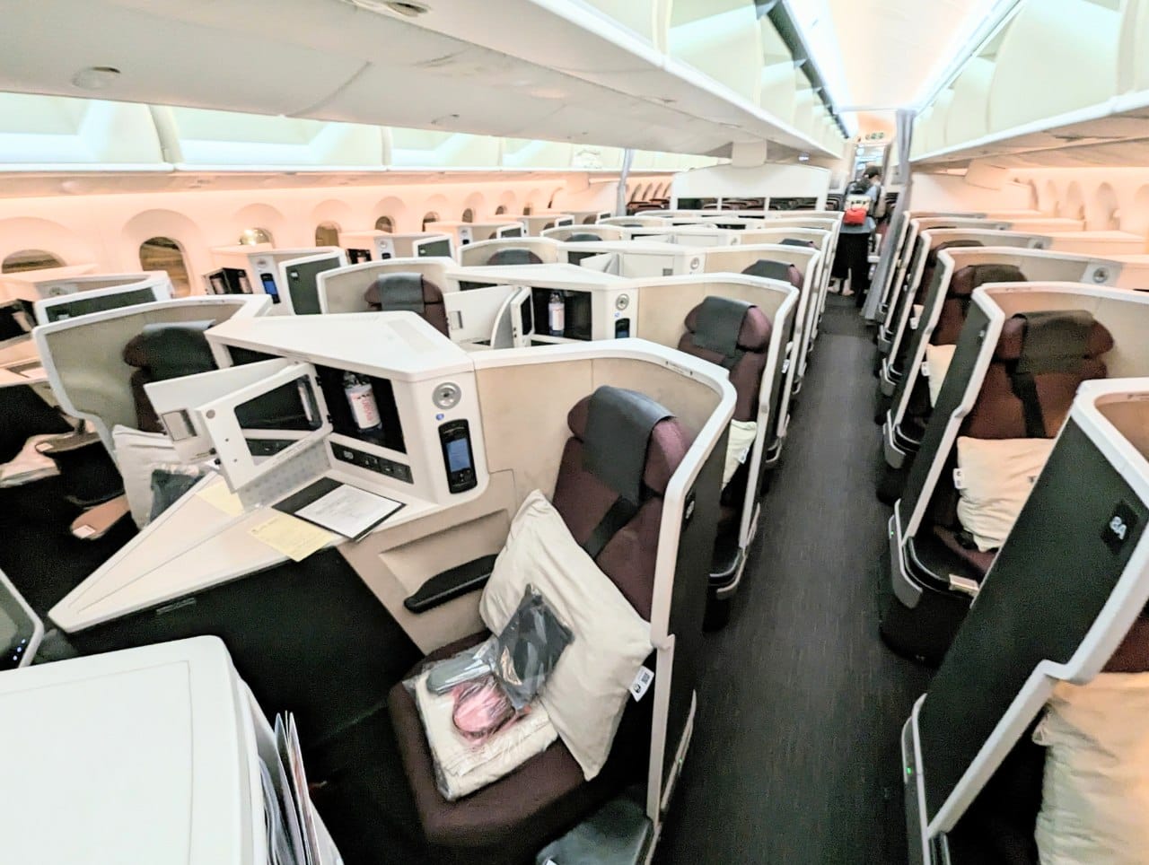 Review: Japan Airlines B787-9 Business Class (SIN-HND) - The MileLion